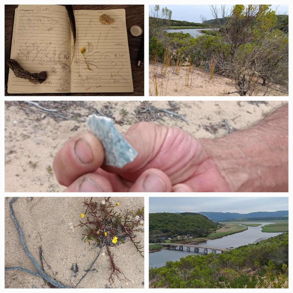 photo collage with 5 images showing notebook, scenes of sand and river, plants and a hand holding a shard of rock